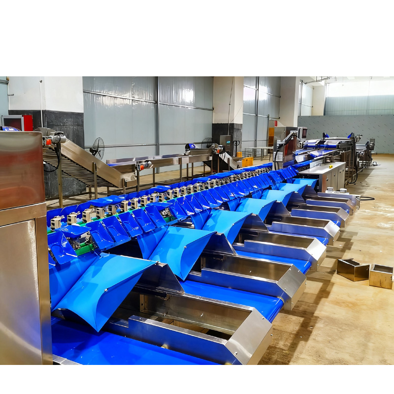 自动果蔬分拣机